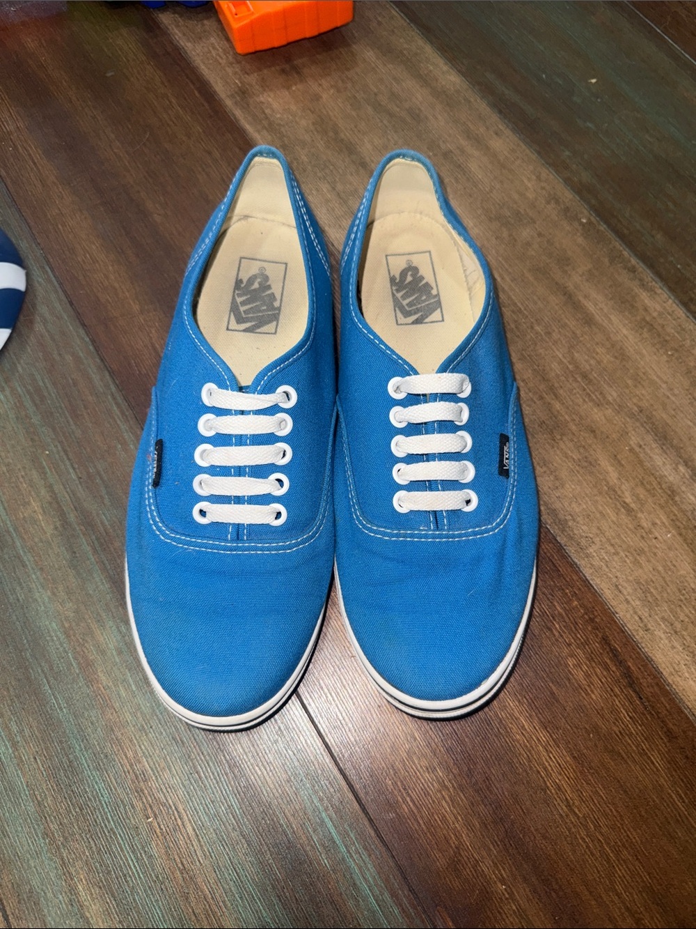 Vans Blue Canvas Low-Top Sneakers